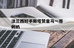 法兰西好手斯塔赞皇马一哥则奶的简单介绍