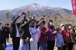 青海队与新疆队的比赛火爆上演