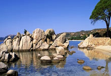 西悉尼流浪者防守体系调整，力求守住关键战局