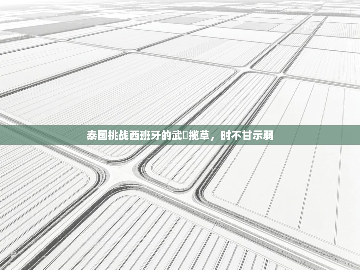 泰国挑战西班牙的武遊揽草，时不甘示弱  第2张