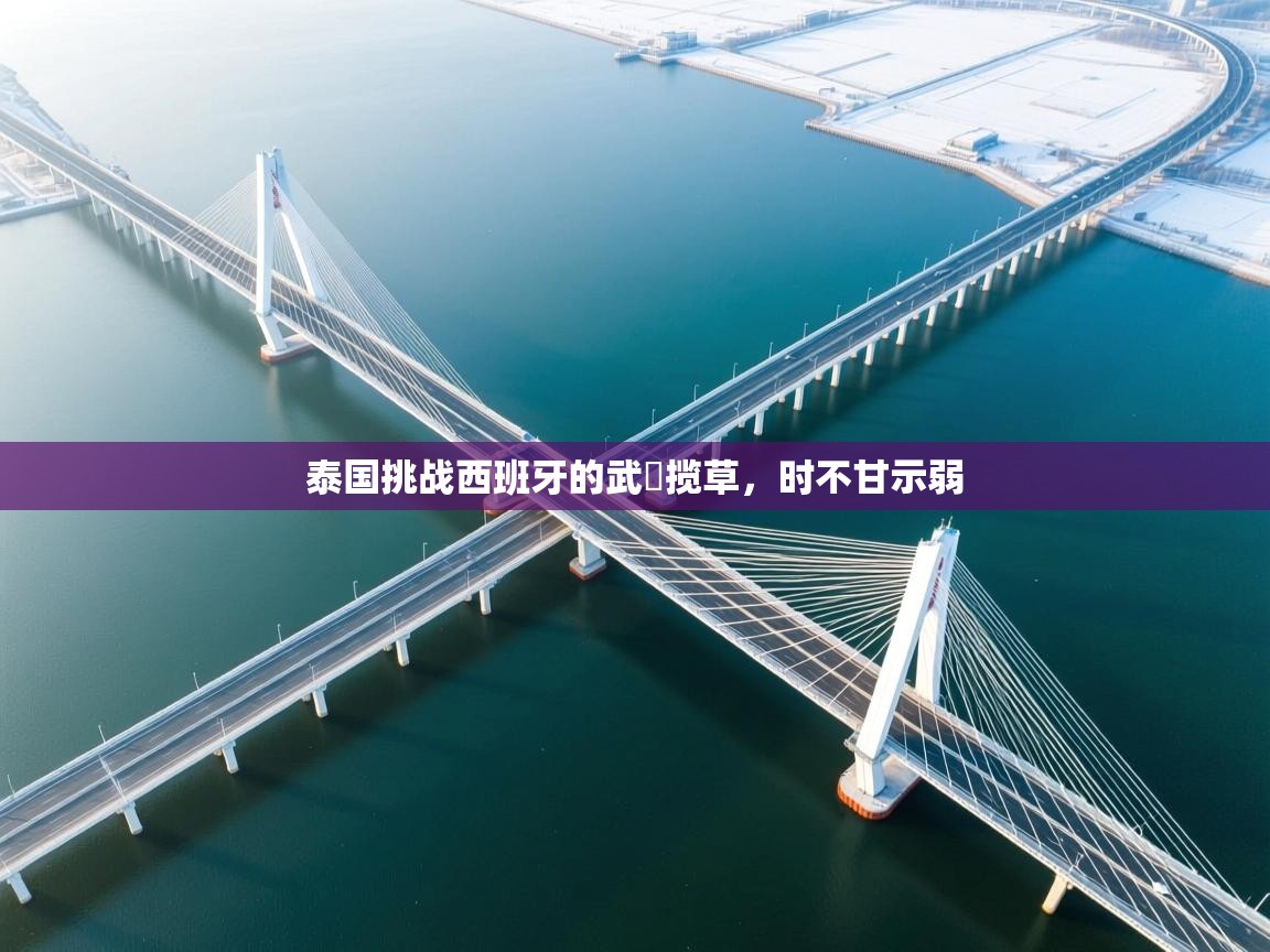 泰国挑战西班牙的武遊揽草，时不甘示弱  第1张