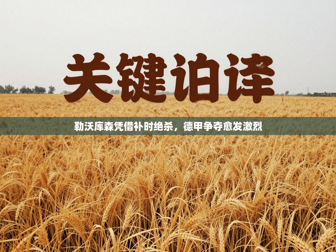 勒沃库森凭借补时绝杀，德甲争夺愈发激烈  第1张