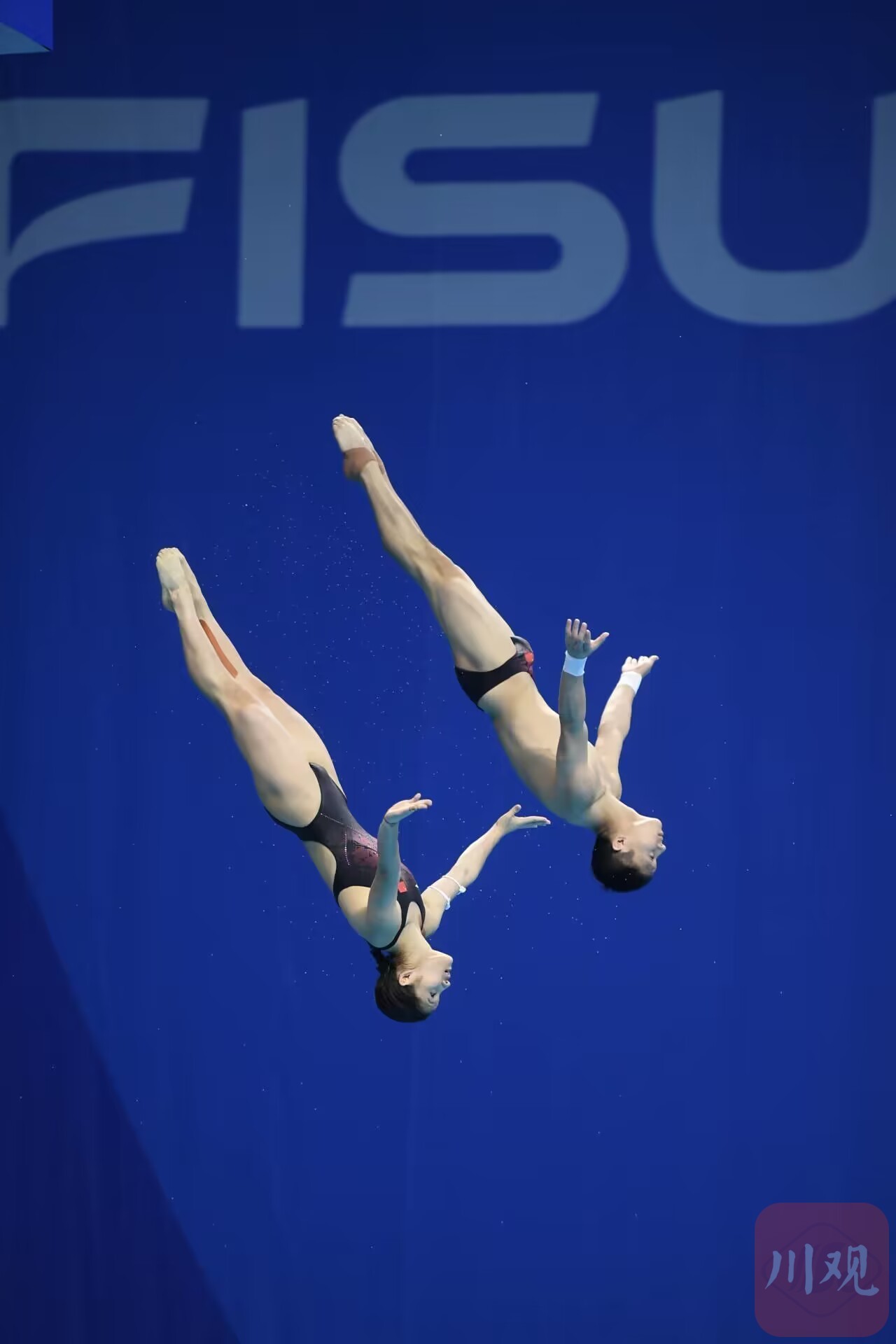 瑞士跳水选手精湛表演震撼全场的简单介绍