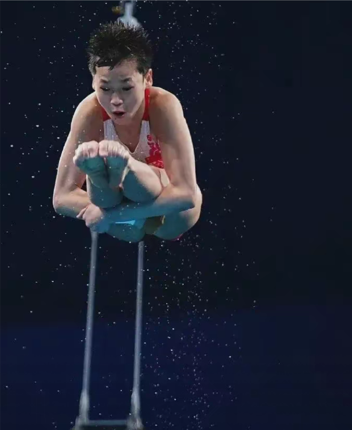 瑞士跳水选手精湛表演震撼全场的简单介绍