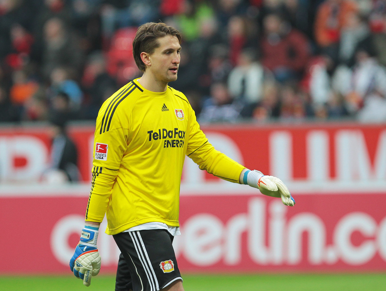 包含勒沃库森门将连续零封，表现稳定的词条