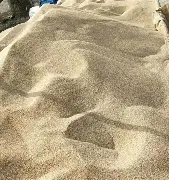 关于沙之河迎战深圳雷曼克，双方将拼尽全力的信息